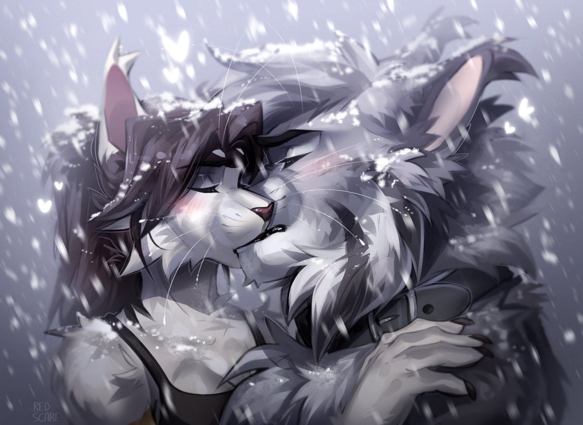 Red Scarf tweet media