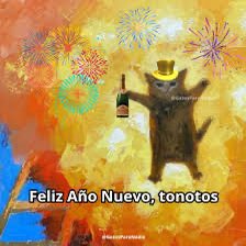 De este lado ya es año nuevo, feliz 2026 tonotos 🎉🥳