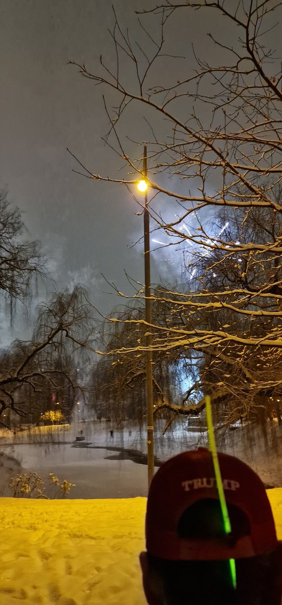 yesPotatoe_'s tweet image. Happy New Year from Poland!! 🎇🇵🇱