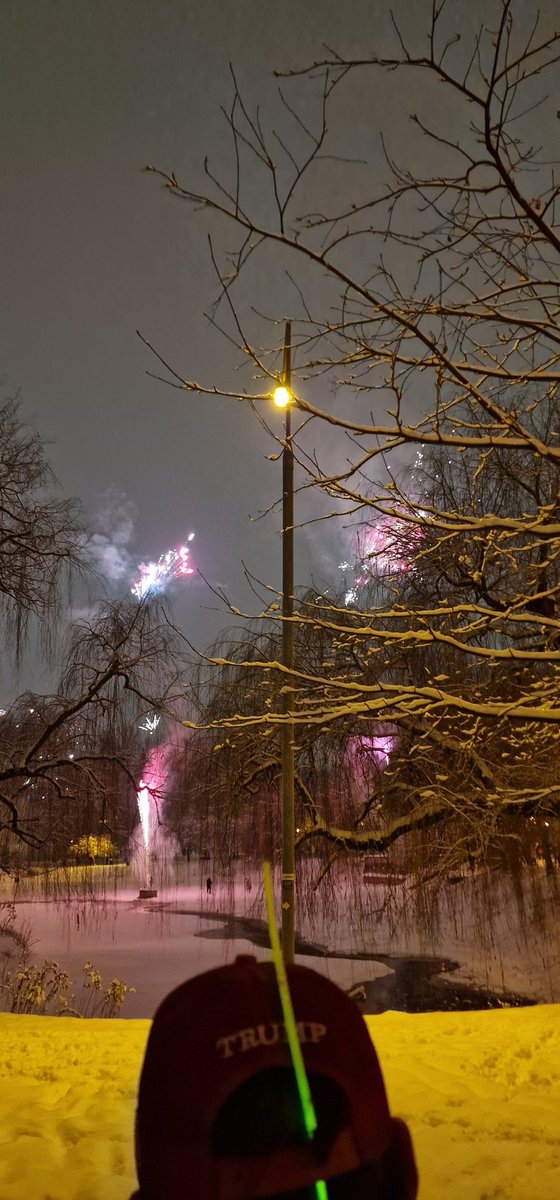 yesPotatoe_'s tweet image. Happy New Year from Poland!! 🎇🇵🇱