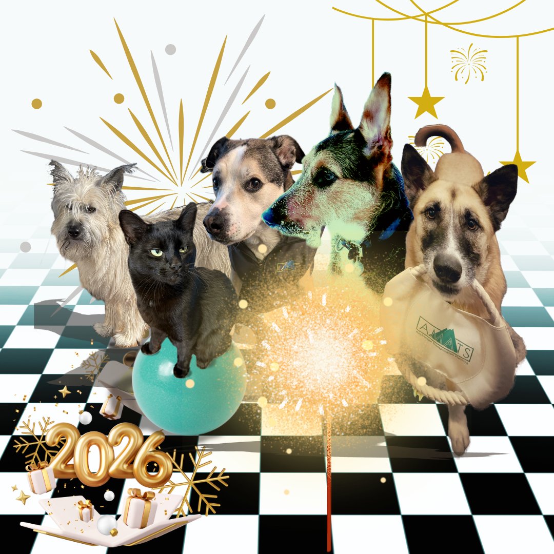 AMATS is kicking off 2026 with 3 Public Opportunities for Input!
 ✅2050 Transportation Plan Amendment
 ✅2023–2026 TIP Amendment
 ✅Draft 2027–2030 TIP
📅 Jan 1–Feb 15
 🔗Learn More and Share your feedback: publicinput.com/Email/k807342