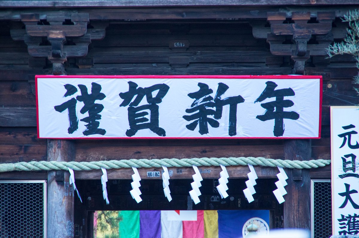 Syncopated_Frog @ ORNITHOLOGY tweet media