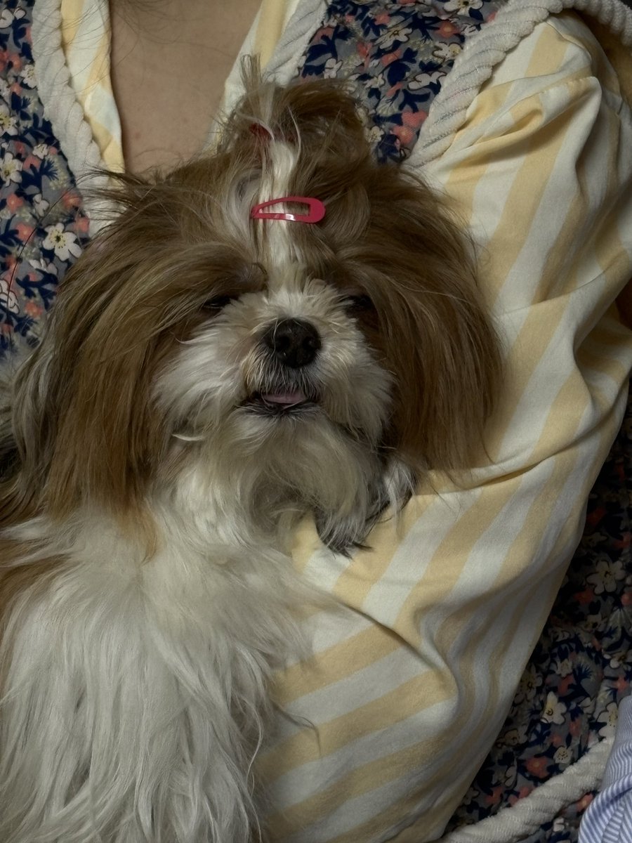 새해복..많이 받으시구요…눈뜨니…소파였고요…어캐 눈떠서 해보네여….초록색만봐도 속이 안좋아요