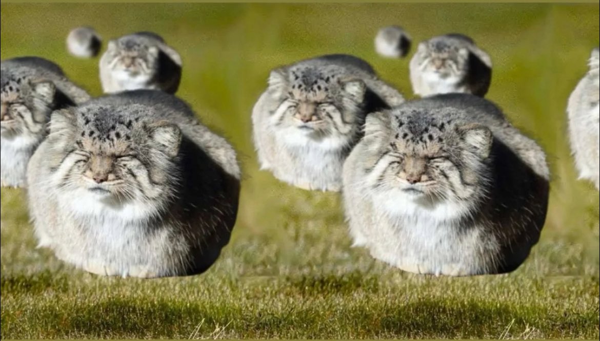 Happy new year all my oomfs all my old and new ones