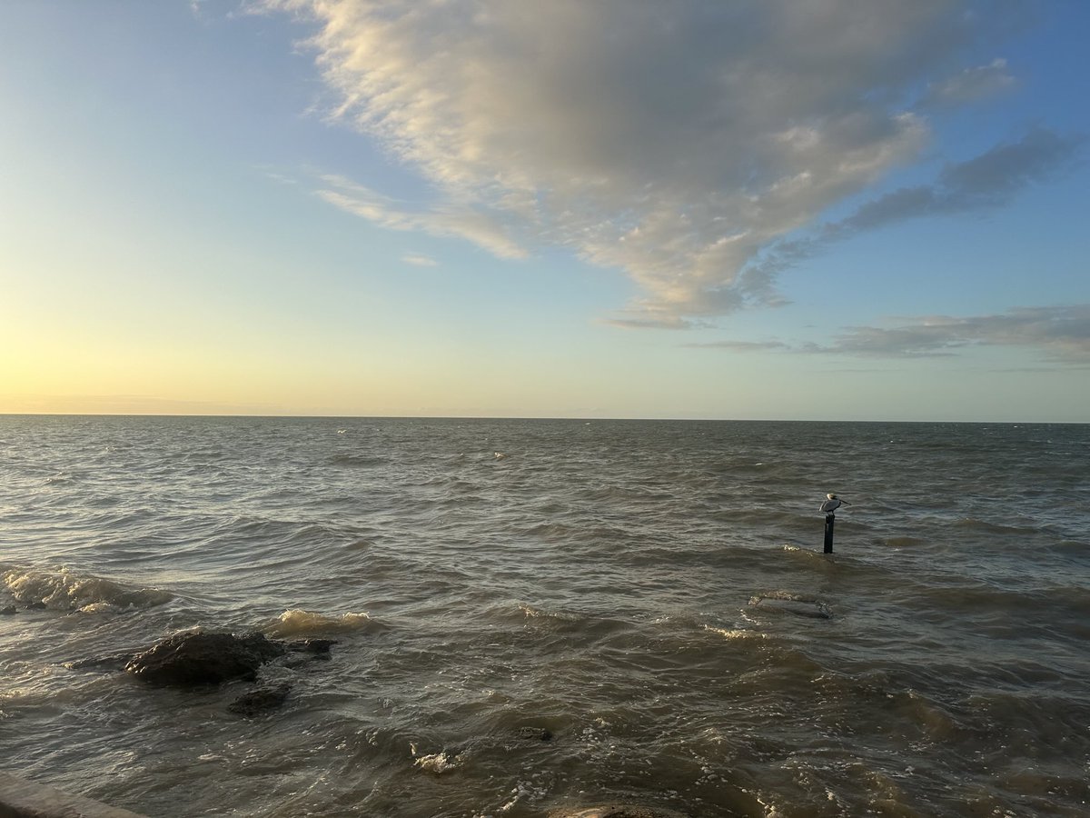 Última tarde del 2025!