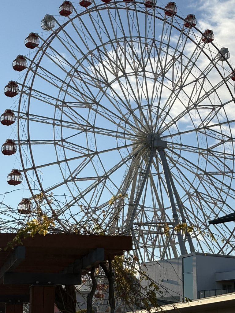 刈谷ハイウェイオアシス！ この観覧車にいくとくんとバディさんいたのか笑