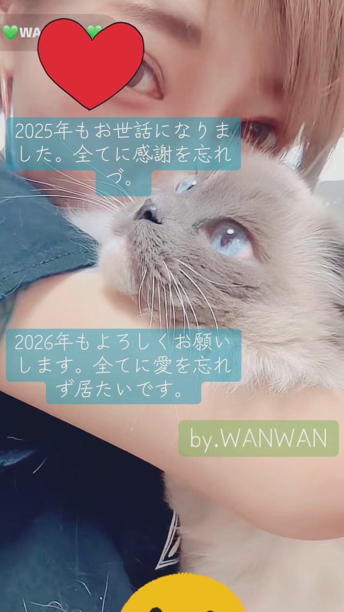 わんわんちゃん WANWAN (@wan25252) / Posts / X