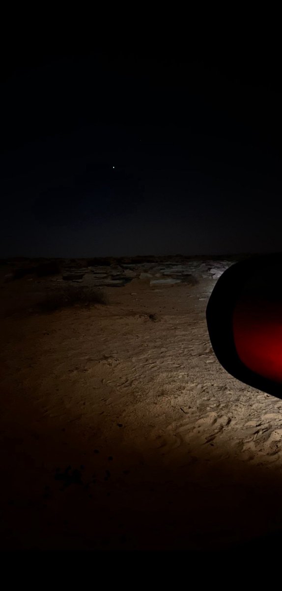 عـلـقـم tweet media