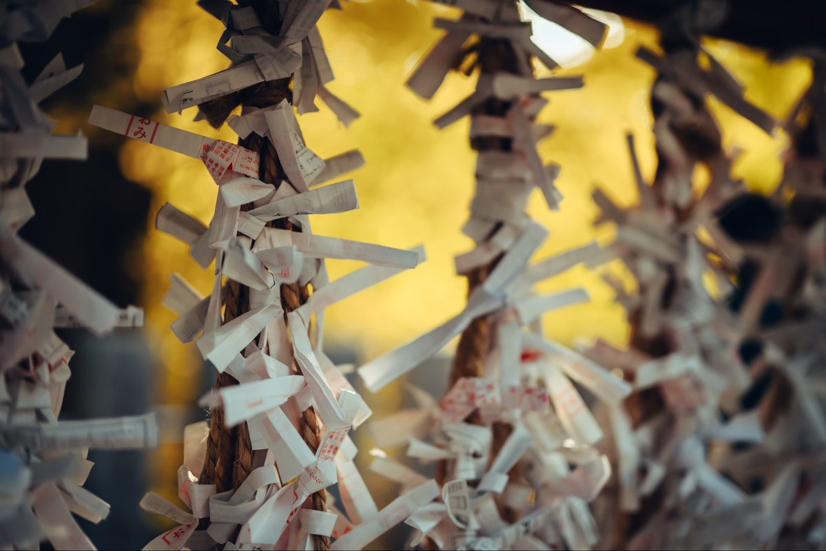 luu_graph's tweet image. 新年あけましておめでとうございます🎍

本年もゆるやかにどうぞよろしくお願いします