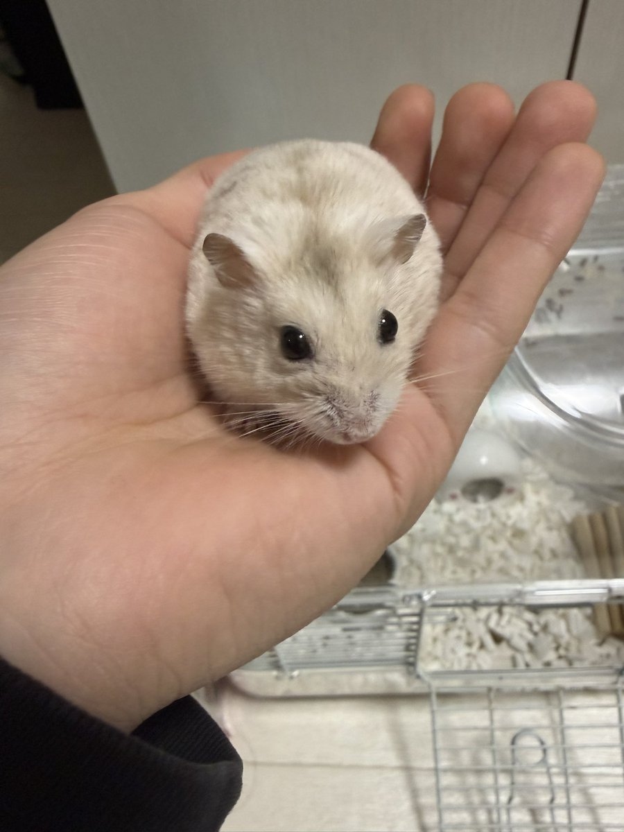 あけましておめでとうございます🌅
今年もゆったりやりますのでよろしくお願いします🙇