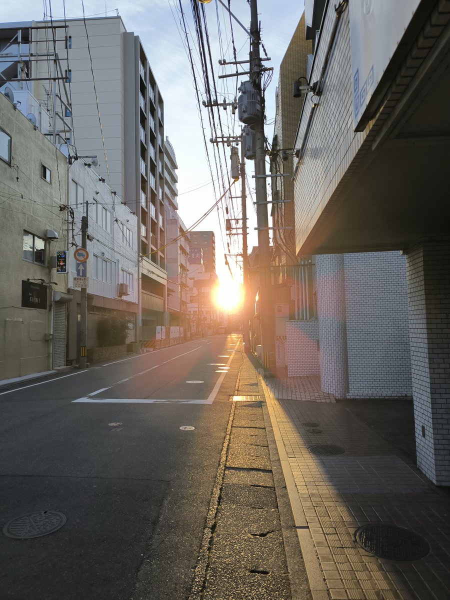皆様あけましておめでとうございます。
今年はOliverと散歩してる時に初日の出を拝む事ができました。
本年も変わらずよろしくお願い致します。