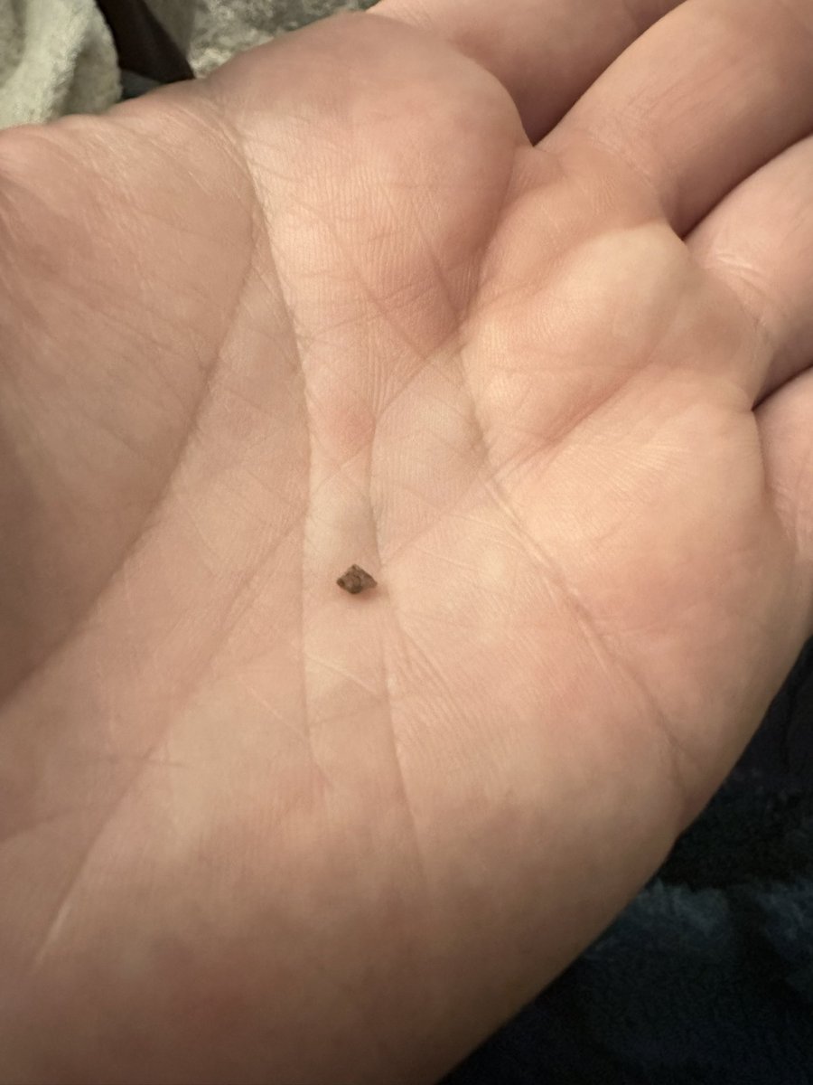 NorthLord tweet media