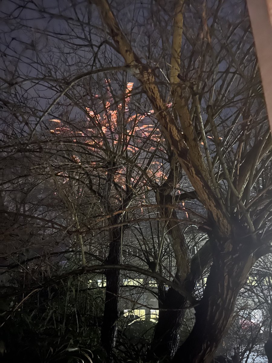 Karin Prien tweet media