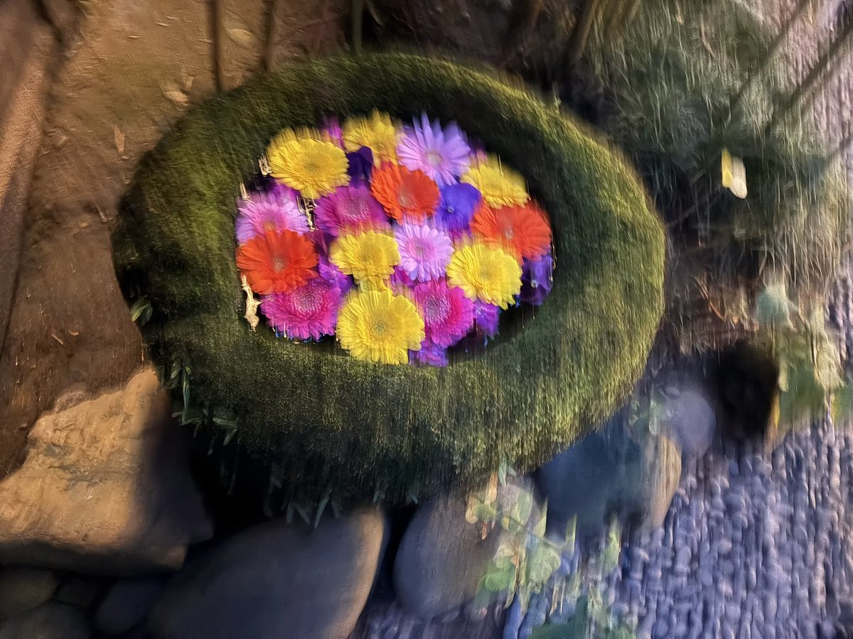 2026年1月1日木曜日

✨️🎍HAPPY NEW YEAR🎍✨️

新年明けましておめでとうございます

旧年中は大変お世話になりました💖

本年も宜しくお願いします🌸

優しい繋がりに感謝します

皆様にとって笑顔溢れる
素晴らしい一年になりますように☘️🫧