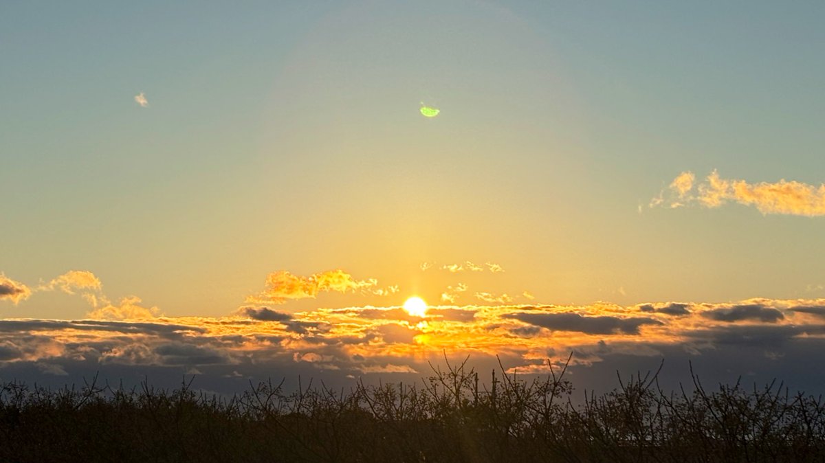 あけましておめでとうございます！🎍

昨年は『ガッチャGRADUATIONS』から始まり『ゴジュウジャー』『ゼッツ』とやらせていただきました。なかなかエキサイティングな年ではありましたが、今年も引き続き皆さまに楽しんでいただけるように邁進して参ります🙇🏻‍♂️
どうぞよろしくお願いします‼️