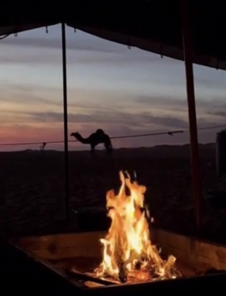 <a href="/Sahraachannel/">قناة الصحراء</a> الإجابة : 
.
.

2- ريمات ✅
.
.

#مجلس_الصياهد 
#منقية_النائلات 
#مهرجان_الملك_عبدالعزيز_للإبل10
<a href="/Sahraachannel/">قناة الصحراء</a> 
،
،
2- ريمات ✅

<a href="/Sahraachannel/">قناة الصحراء</a>