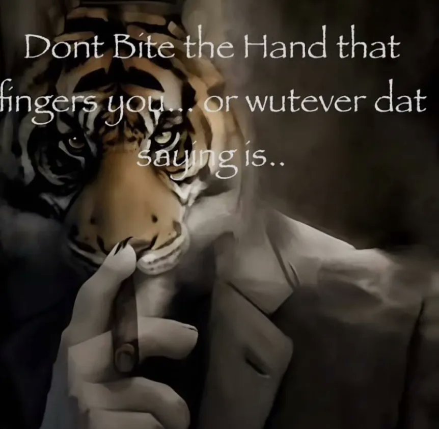 brainrotpostig's tweet image. 