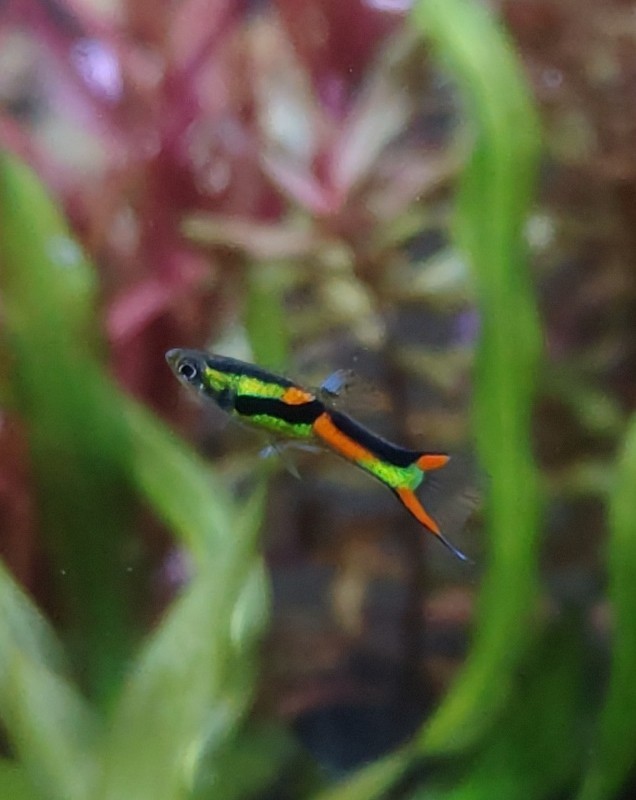 まさ (@masa_1552) / Posts / X