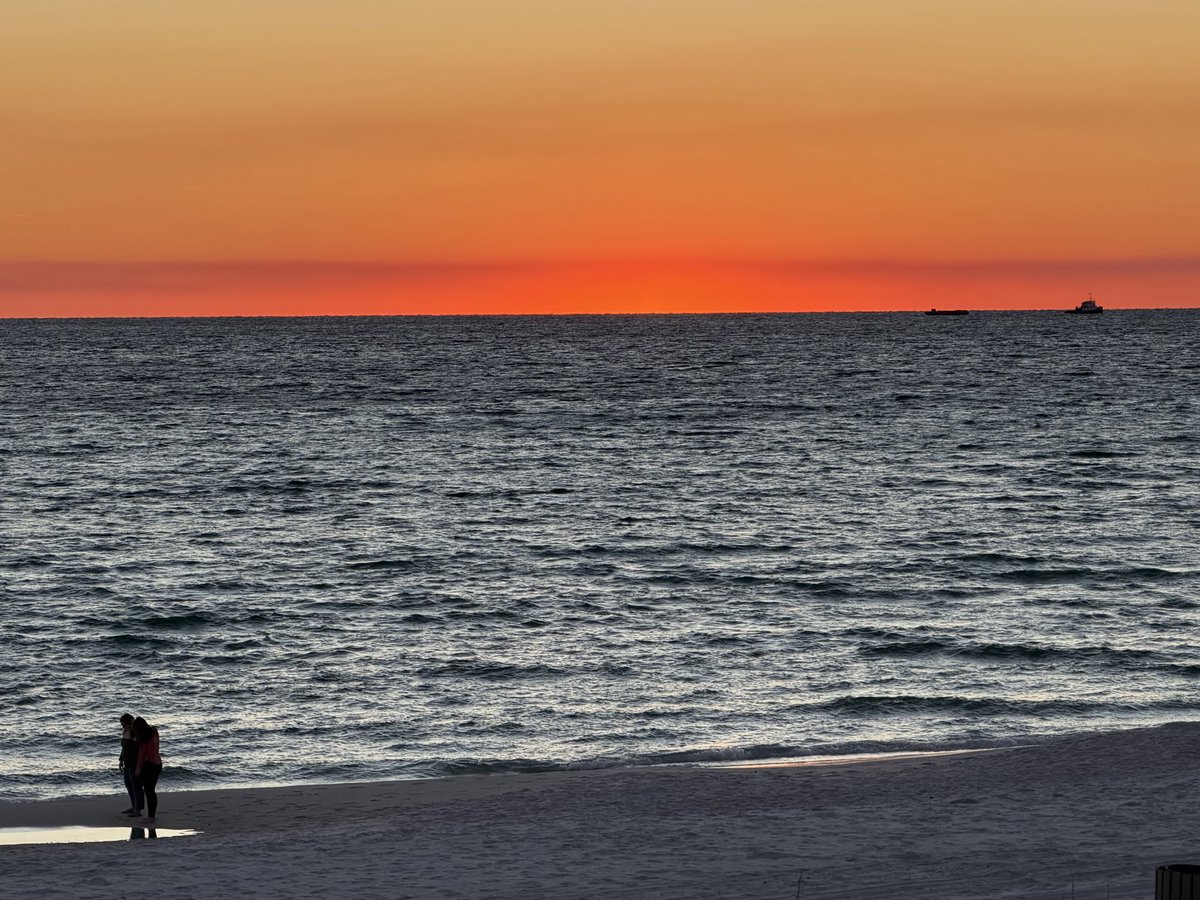 “Seas the Day” Panama City Beach tweet media