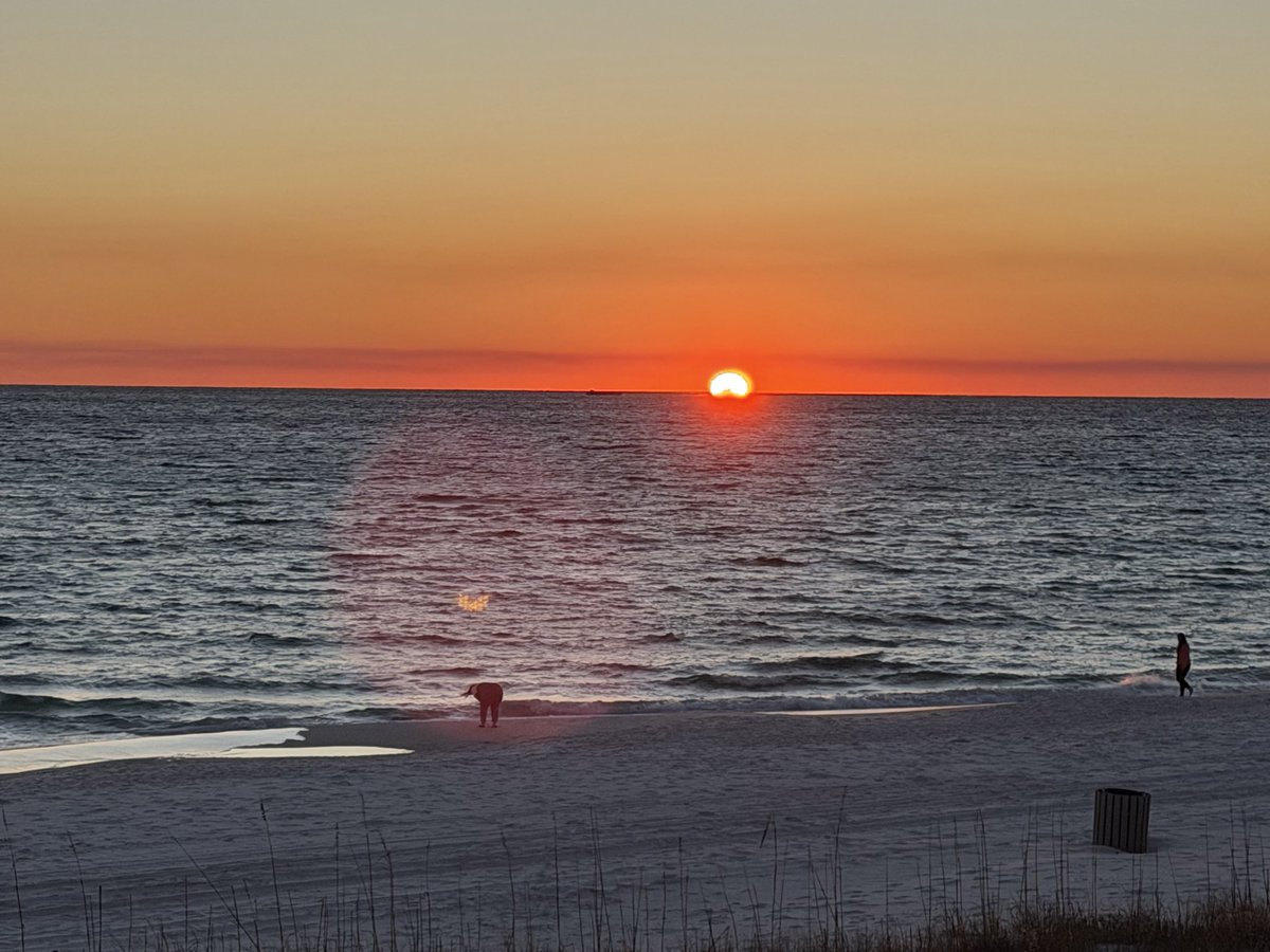 “Seas the Day” Panama City Beach tweet media