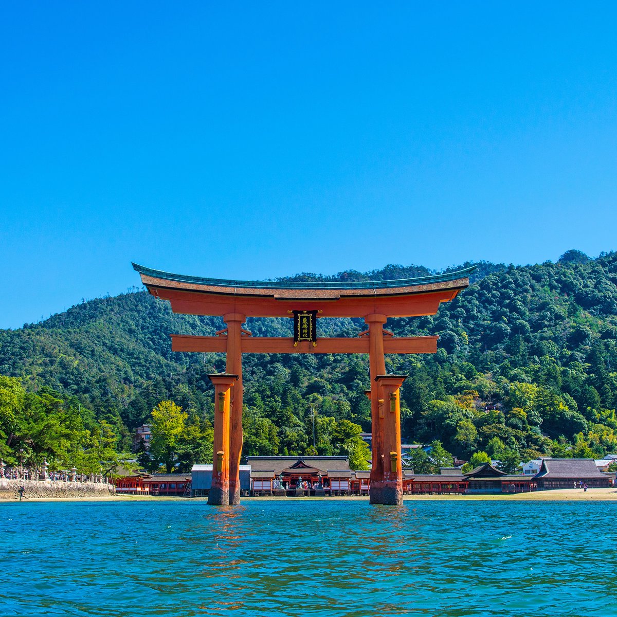 あけましておめでとうございます🎍 今年は原爆ドームと厳島神社が世界
