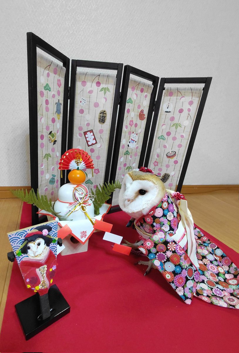 明けまして おめでとうございます
本年も宜しくお願いします
幸せ🍀✨がいっぱいの一年に
なりますように✴️
　　　　　　　　　🦉  よな