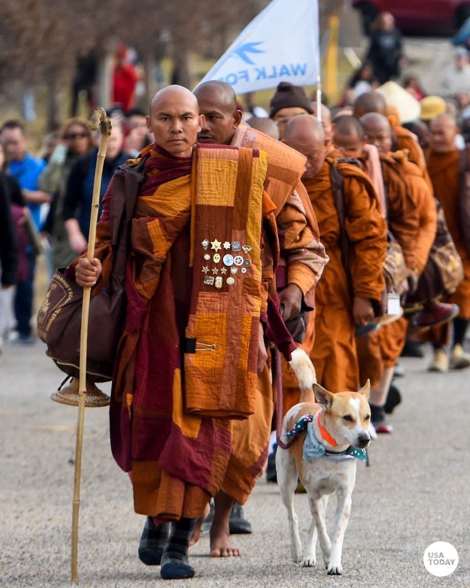 KamiRayne's tweet image. Powerful. And necessary. In a world of noise and chaos, a boat of light and mindfulness crosses the United States, changing hearts along the way. If there’s anyway to begin 2026 , may it be with the message of these courageous monks.
📸: Mickey Welsh
#walkforpeace