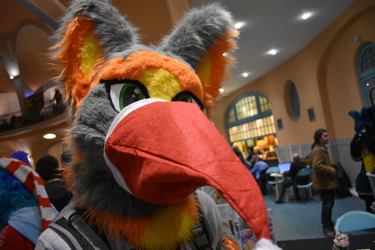 Léo the Wolf (LéoLF) tweet media