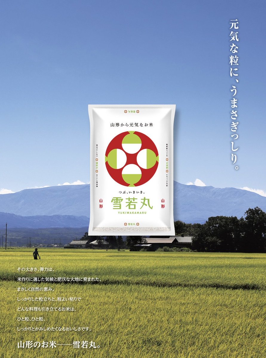 雪若丸 (@yukiwakamaru_PR) / Posts / X