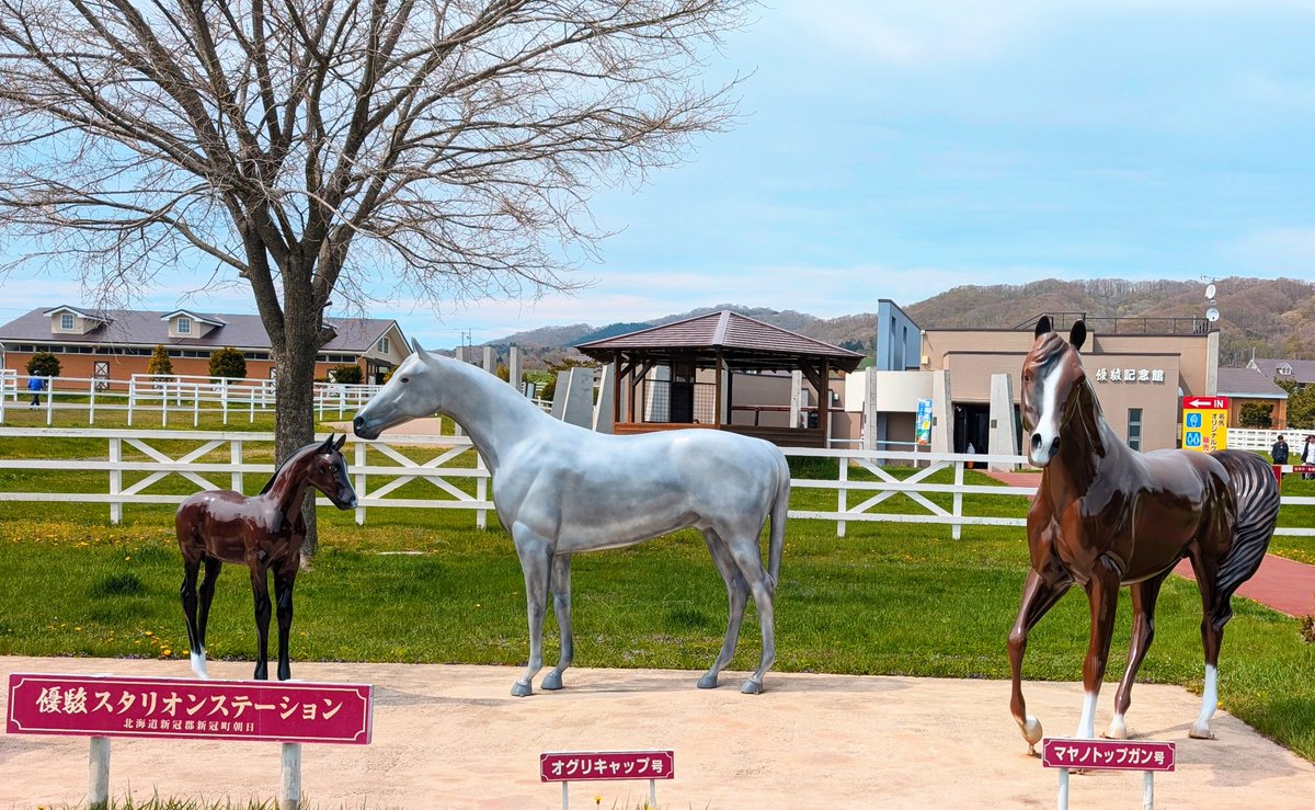 got's tweet image. あけましておめでとうございます。

今年の干支である午にちなみ、写真は昨年訪問した北海道は日高の優駿スタリオンステーションのオグリの像です。