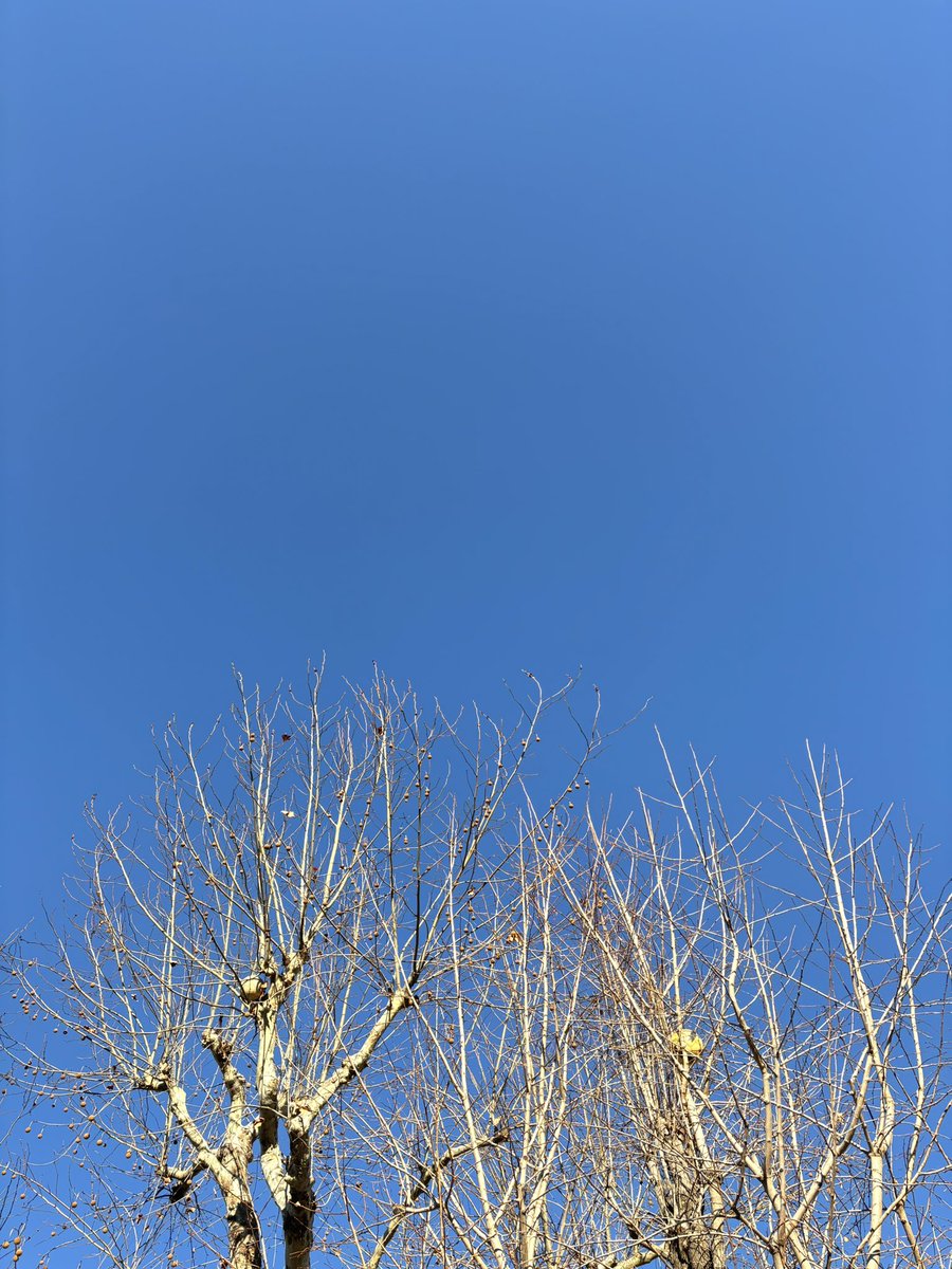 kaigoshitasuke's tweet photo. 明けましておめでとうございます☀️
今年もよろしくお願いします！

街には大きな荷物を持った人々が駅へ向かっています。帰省するのかな。

僕らは365日24時間営業です。昨日夜勤をしたスタッフもいれば今日夜勤をするスタッフもいて…そんな僕は遅番です。

今年もステキな1年となりますように。 https://t.co/HCwynichW5