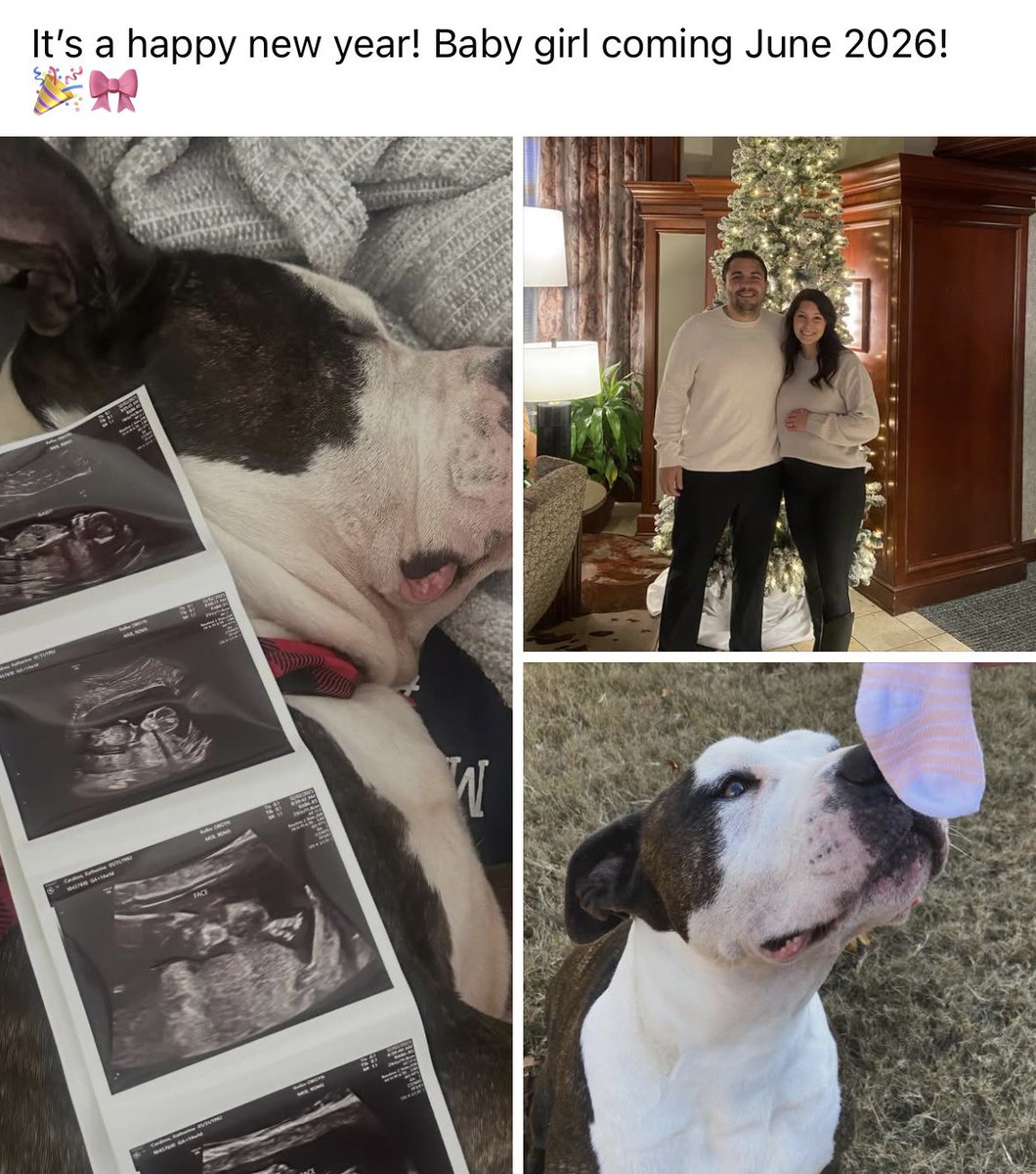 Brock Caraboa tweet media