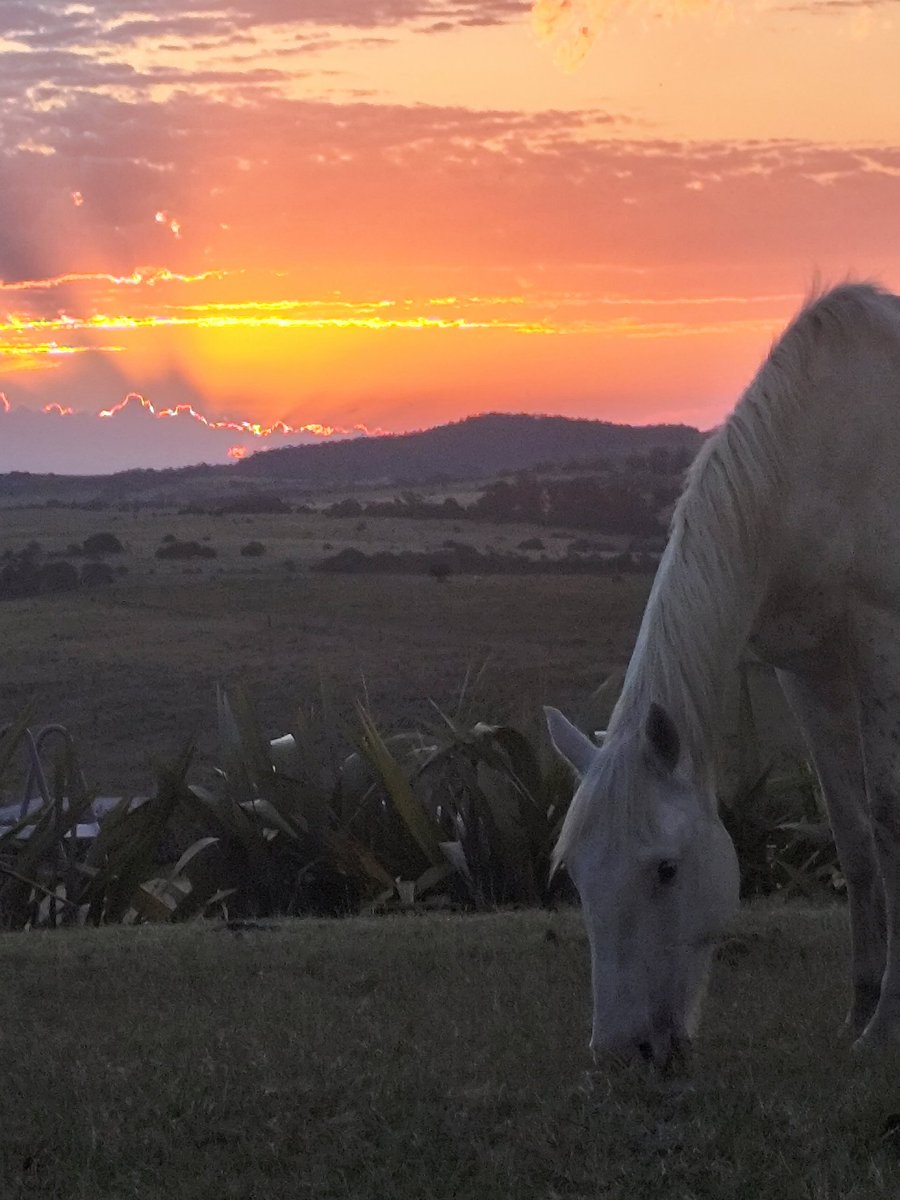 Últimas luces del 25 que invitan a pensar el 26 que queremos.