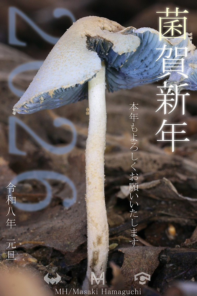 今年は色々な事に手を出していきたいな。
見えないところからも、着実に成長していけたらと思います。菌糸のように。なんつって。

今年もよろしくお願いします。 えめち