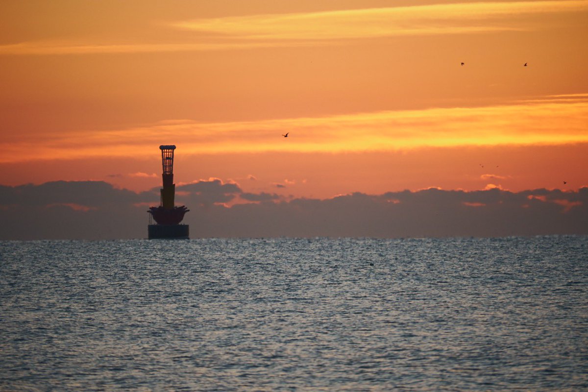 동생이 찍은 부산 해돋이 사진 훔쳐옴
새해 복 많이 받으세요