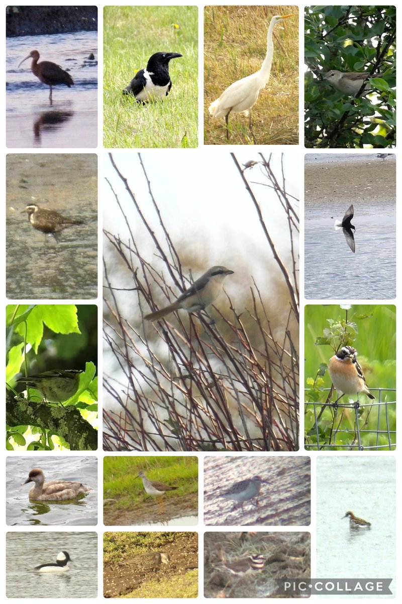 Jack Tynan tweet media