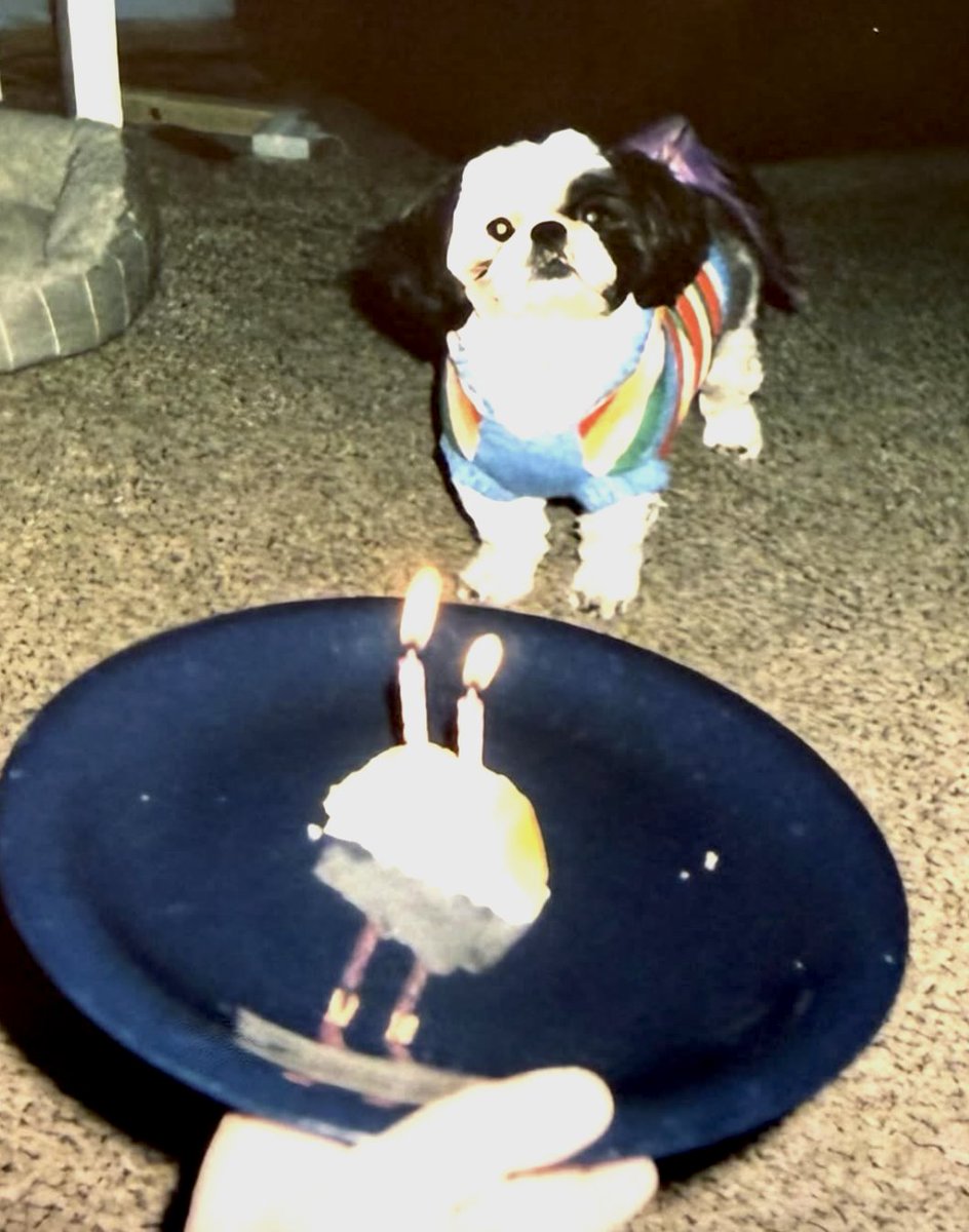 Ian Scherer tweet media