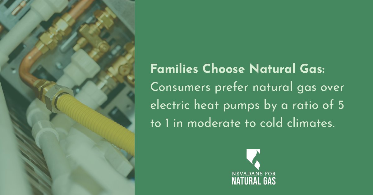 Families want an energy source they know can deliver safe and reliable energy in the warmest summers and the coldest winters.