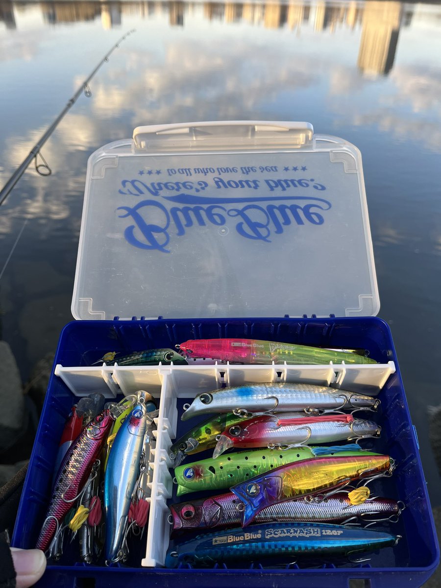 荒川シーバス！あけましておめでとうございます！
初日の出見に行ってきました！
荒川の土手一面に人が笑

釣竿持ってるの私だけ笑
バチ抜け用ラテオMLいい感じ！！
水面に反射する青空が綺麗だった！

川に飛び込む人や水切りが始まり、アウェイすぎてすぐ帰宅しました！

お雑煮作ろう。