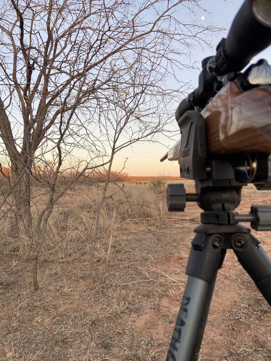 MrJsays's tweet image. I thought they were going to join me