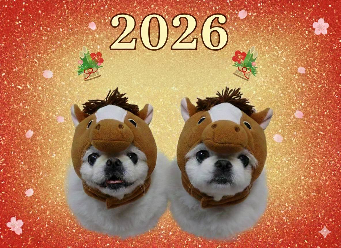 コメント者10/9 大17 十代目zx10r (@zx10r17) / Posts / X