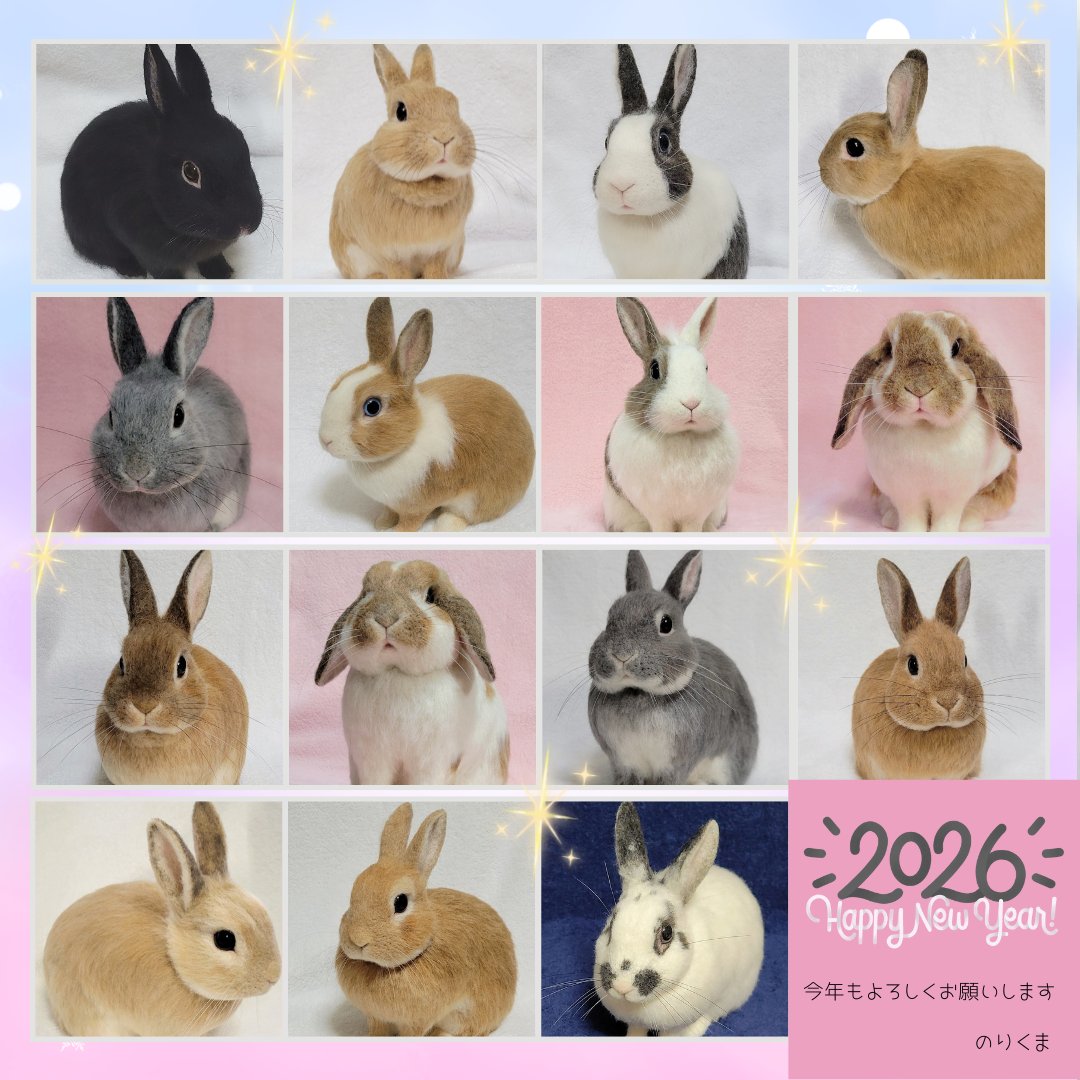 明けましておめでとうございます🐴🎍 昨年はたくさんのオーダーうさぎ