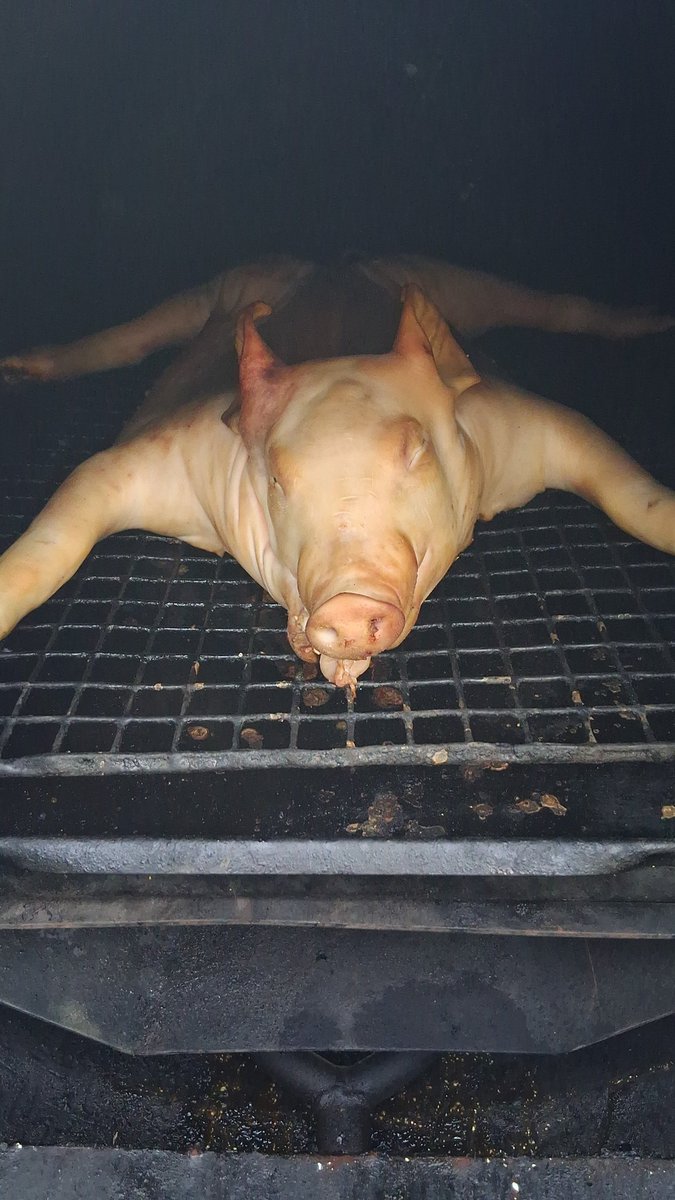 Para terminar el año un lechoncito de 8 kg de nuestra granja. Esperemos que llueva pronto, seca extrema. FELIZ AÑO PARA TODOS y gracias por confiar en nuestros productos. Felicidades