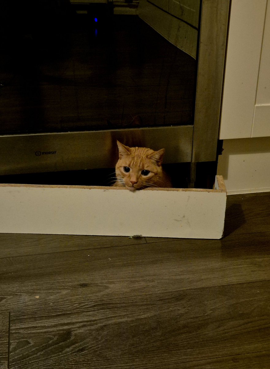 De jaarlijkse schuilkelder 😄