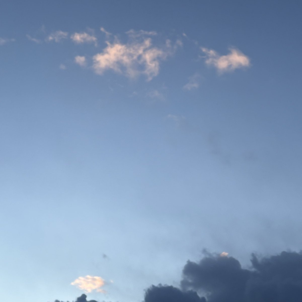 初日の出は見ることができなかったけれど、厚い雲の上にはちゃんと太陽に照らされた明るい雲があって、それもまたいいなぁと思いながら走ってきました
今年の抱負はスキルアップ
できないをできるにする❣️

フォロワーの皆さんに、励まされ支えられの2025
よかったら、今年も仲良くしてくださーい😉