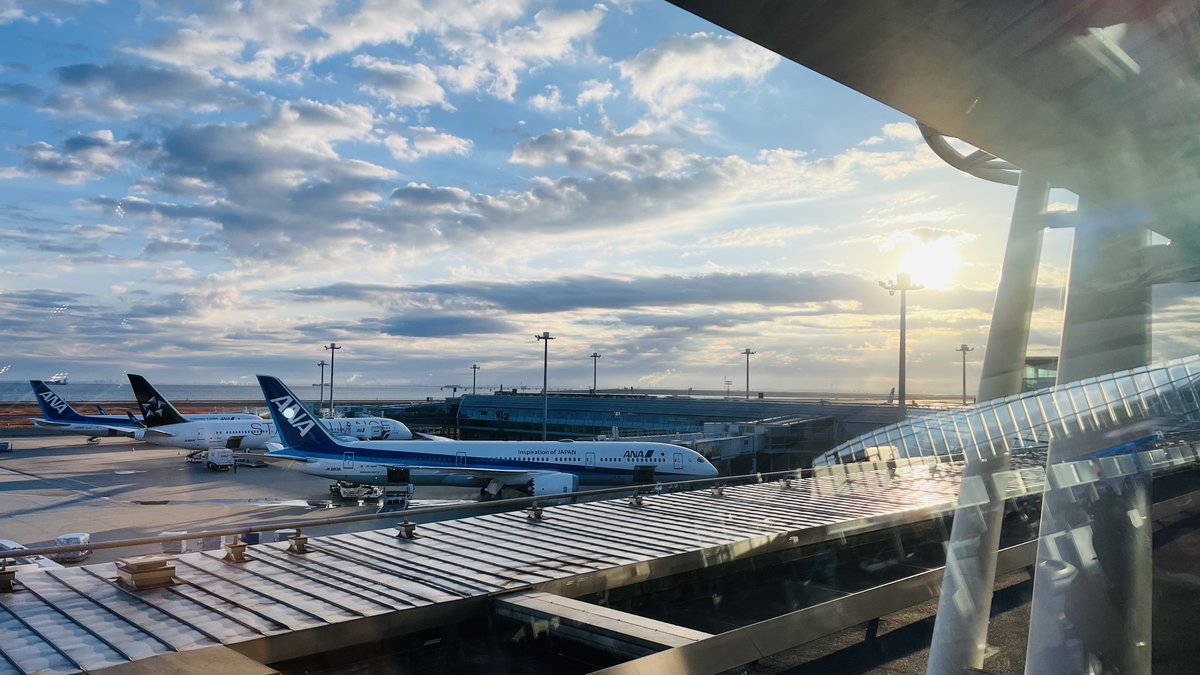 はっしー tweet media