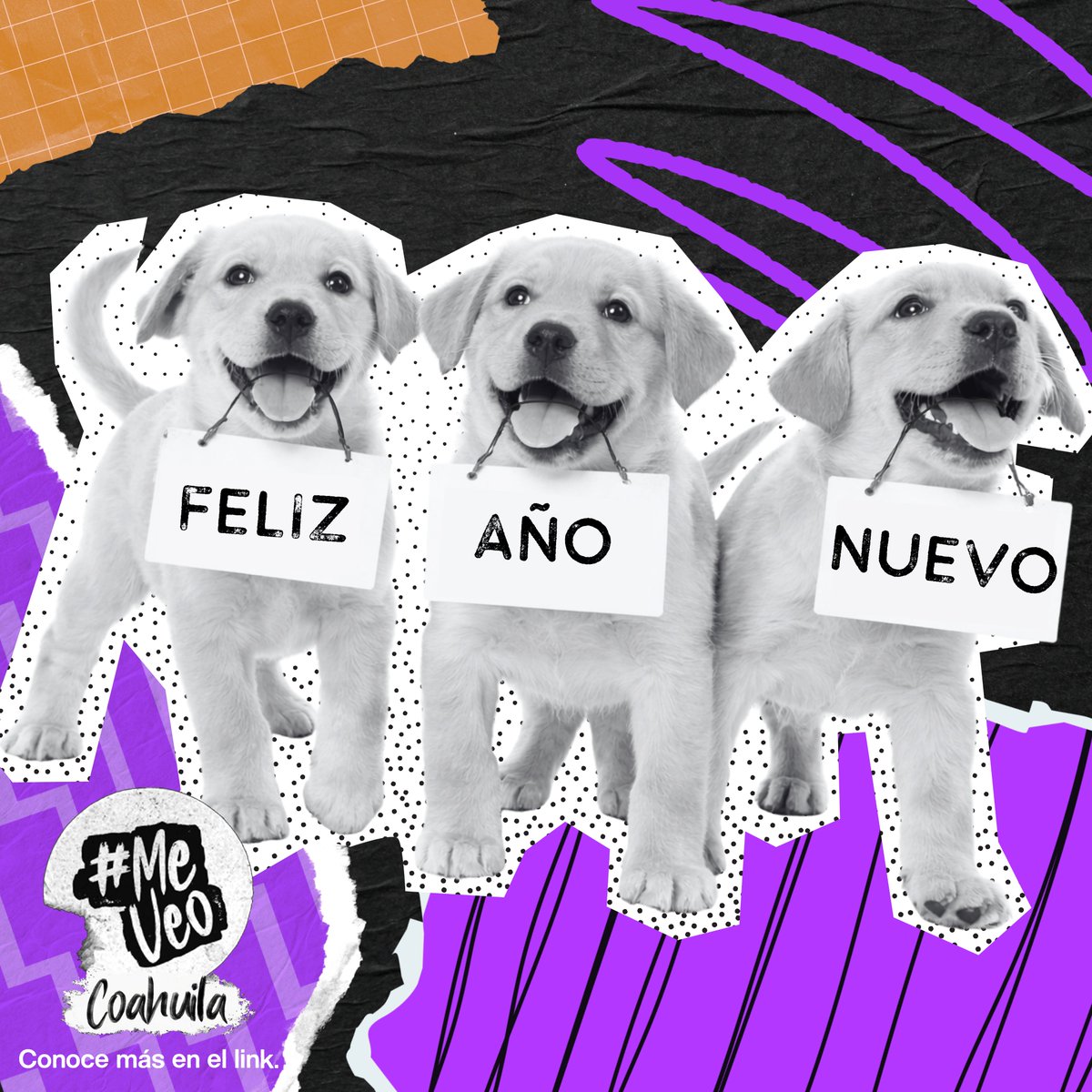 CCICOAH's tweet image. ¡Feliz año nuevo a todos los coahuilenses que ya estamos listos para las elecciones de 2026! ✨🗳️

Da click en el link de abajo ⬇️ y escríbenos si tienes dudas 
inetel-citas.ine.mx/ReservaCitas/

#MeVeoCoahuila #ActualizaTuINE #México #AñoNuevo