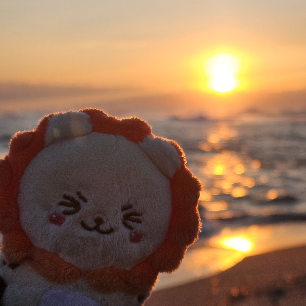 SUN_DB's tweet photo. 써니웅니랑 2026년 첫 일출 보고왔어요 (๑˃̵ᴗ˂̵)و https://t.co/jb0nIyenpx