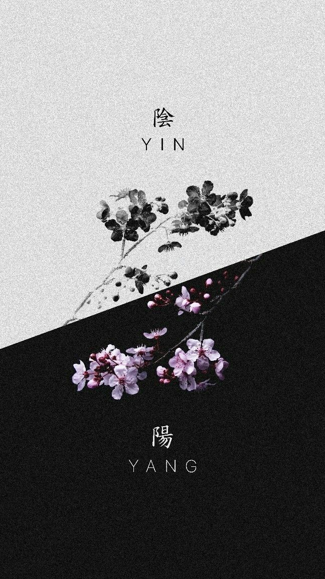 blackdreamvibes's tweet image. 