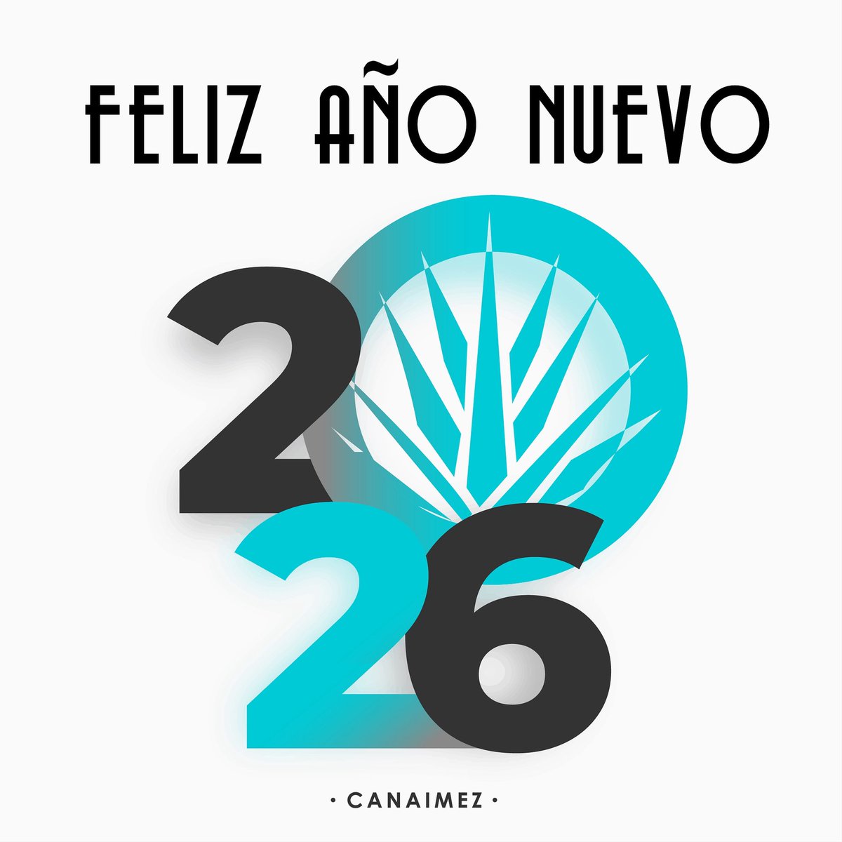 canaimez's tweet photo. #FelizAnoNuevo2026 https://t.co/ALXzdxN3k0
